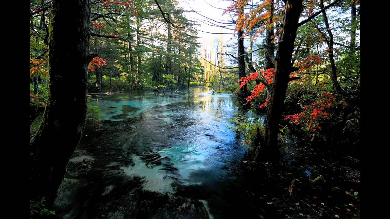 10 10月の上高地 岳沢湿原の目覚め Youtube 10 10月の上高地 岳沢湿原の目覚め Youtube