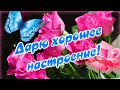 Дарю  хорошее настроение! Вечерний привет!