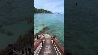 Download Lagu Beach Vibes 🏖️ Shark Bay - Koh Tao 🇹🇭#thailand #beach #fyp #fy #shorts MP3