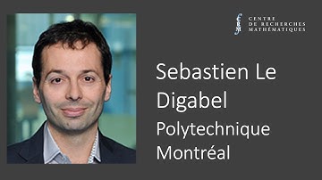 Sebastien Le Digabel: Blackbox optimization with the MADS algorithm and the NOMAD software