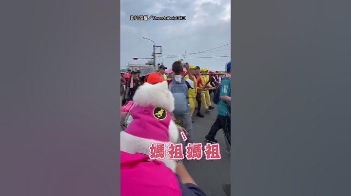 【虔誠的狗勾】狗狗也拜媽祖！ 穿粉紅裝虔誠求肉肉XD｜白沙屯媽祖｜媽祖｜拜拜