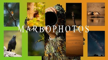 Un nuevo COMIENZO // Inicio mi NUEVO canal de FOTOGRAFIA y VIDEO de NATURALEZA