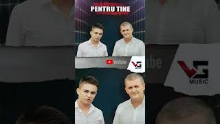 Vasile & Miron Grin - Pentru Tine