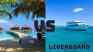 Which is Better LandBased or Liveaboard Scuba Diving?