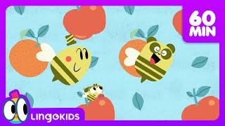 THE BEST OF BABY BOT 🚀 🤖 Educational Cartoons Compilation | Lingokids