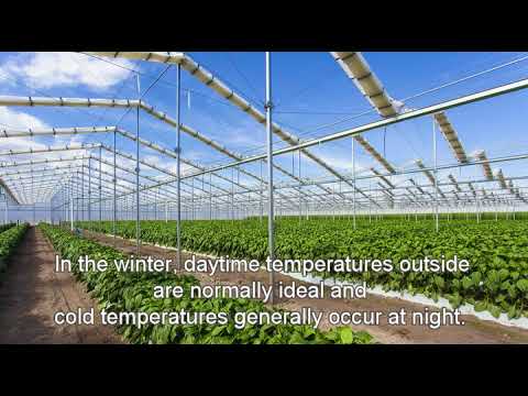 فيديو: الصوب الزراعية والمباني الساخنة على أساس البولي الخلوي
