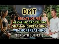Breath buffet dmt breathing  60s breathholds 3 guided rounds