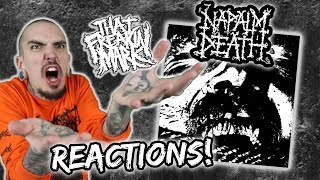 Metalhead Reacts To Napalm Death's Logic Ravaged By Brute Force! Reactions!