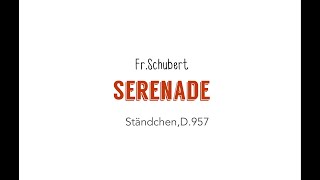Fr. Schubert SERENADE (Ständchen D.957) accompaniment