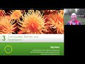 Chapter 3: Communities, Biomes, and Ecosystems Quiz