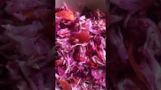 #shоrts #веганские_рецепты #салат Салат  с капусты маринованный со свеклой и морковью,и чесноком.