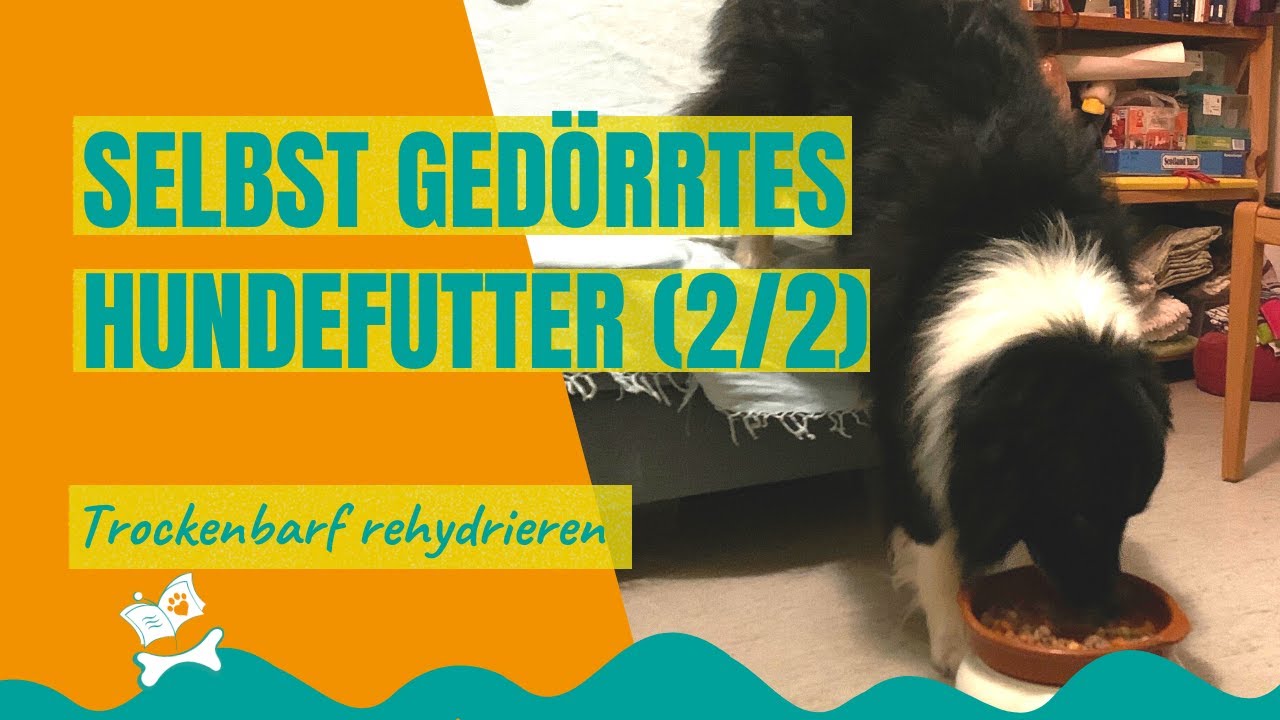 hurtta hundemantel Hundemantel Mudventure Reflective Coat von Hurtta