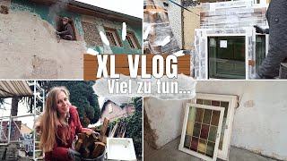 Bauvlog N°24 | Fenster einbauen 🔨 | Mit Holz heizen 🔥