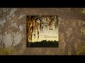 Cole Swindell - Lost Heart (Audio)