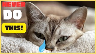 10 Things a Cat Will NEVER Forgive by For Pet Owners 270 views 1 month ago 3 minutes, 10 seconds