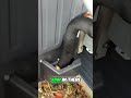 HVAC Design Flaw: Why This AC Unit's Design Is Straight Up Dumb! #shorts