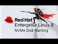NVMe Disk Naming Convention - RHEL 8