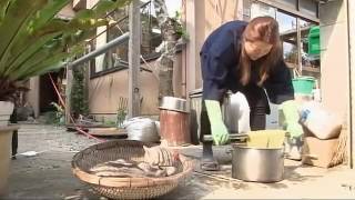 しながわのチ・カ・ラ 親子で受け継ぐ技と芸