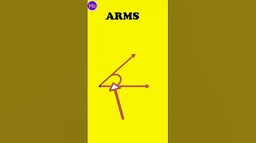 arms of angle 🤔 #india #arms #angle