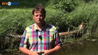 Het Weer [23-7-2013] - RTV Noord