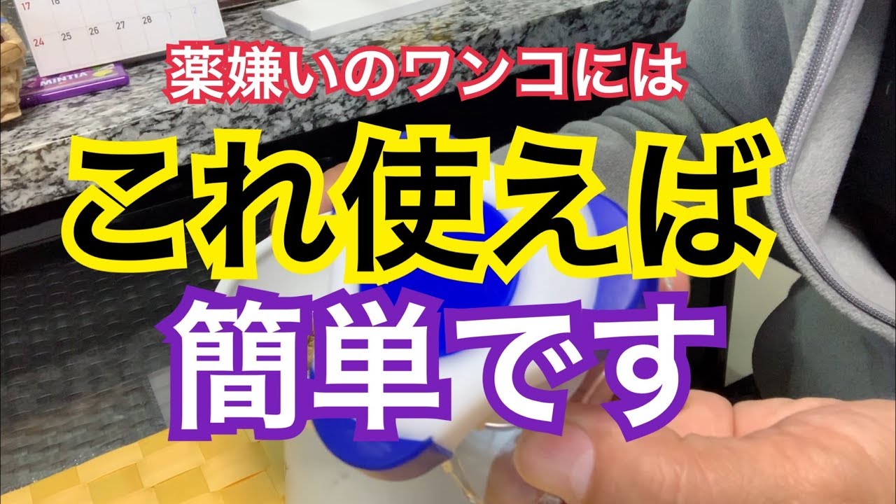 ピルポケット 犬用の価格と最安値 おすすめ通販を激安で ピルポケット 犬用の価格と最安値 おすすめ通販を激安で