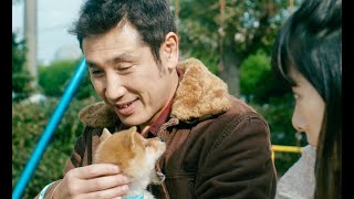 柴犬連れおっさんに恋の予感!? その時犬はあくびをしていた！／映画『柴公園』予告編