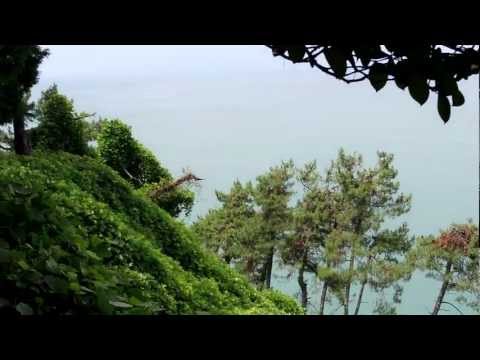 ციხისძირი.Цихисдзири