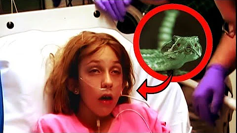 The Terrifying and Deadly Mojave Rattlesnake Bite 🐍