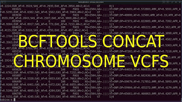 Bcftools concat to Merge or combine Chromosome VCF files