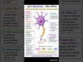 oops song#neurone information#class10#study#neet#gk#science #ssc #science experiment#science project