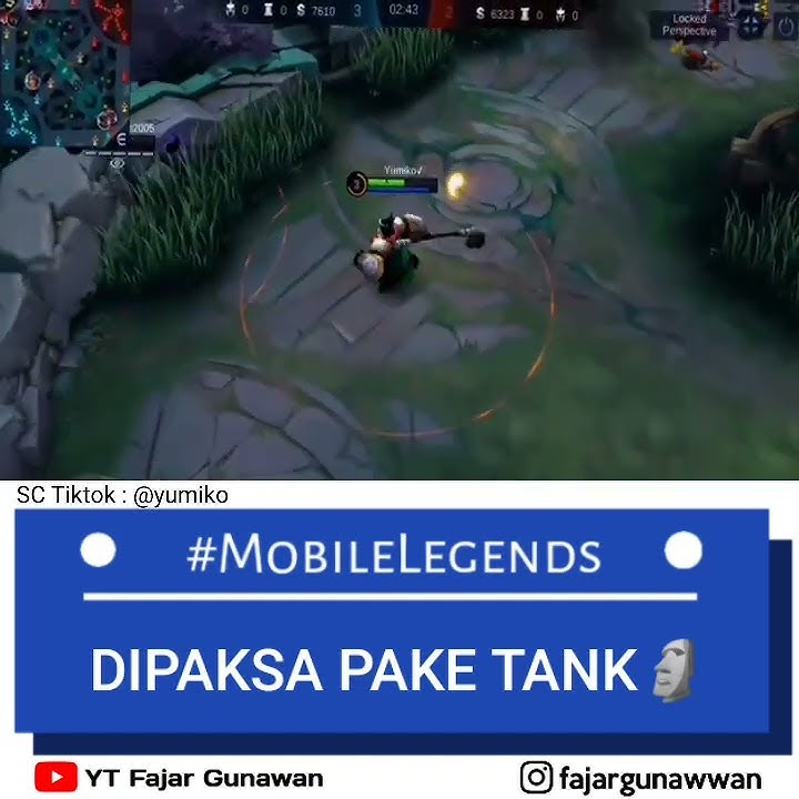DIPAKSA PAKE TANK 🗿 | STORY WA ML