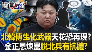 北韓傳產生化武器…絕跡「天花」病毒恐再現？ 金正恩煉蠱鐵證17年脫北兵有炭疽抗體！？【關鍵時刻】20240417-6 劉寶傑 林廷輝