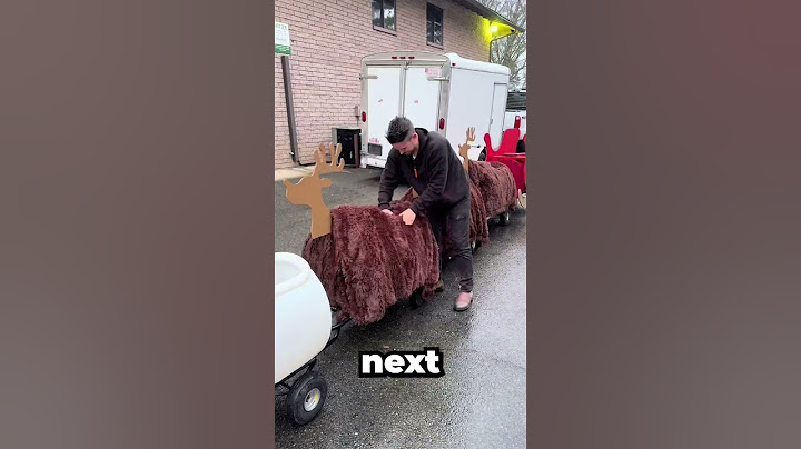 Dad Creates Santa's Sleigh For Christmas! 🎅❄️☃️