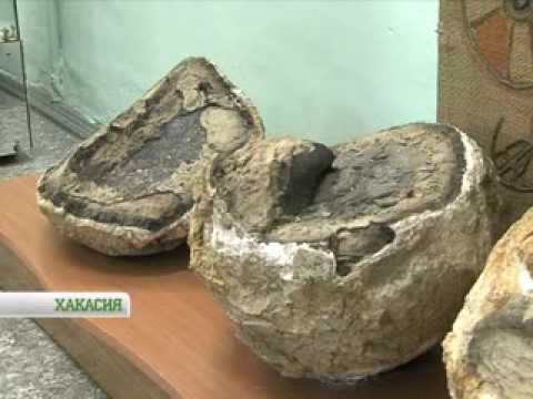 фото яйца динозавров онлайн
