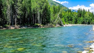 Tranquil River Flowing Through Sonic Nature |10 Hours of Running Water River Sounds for Sleep/ Relax