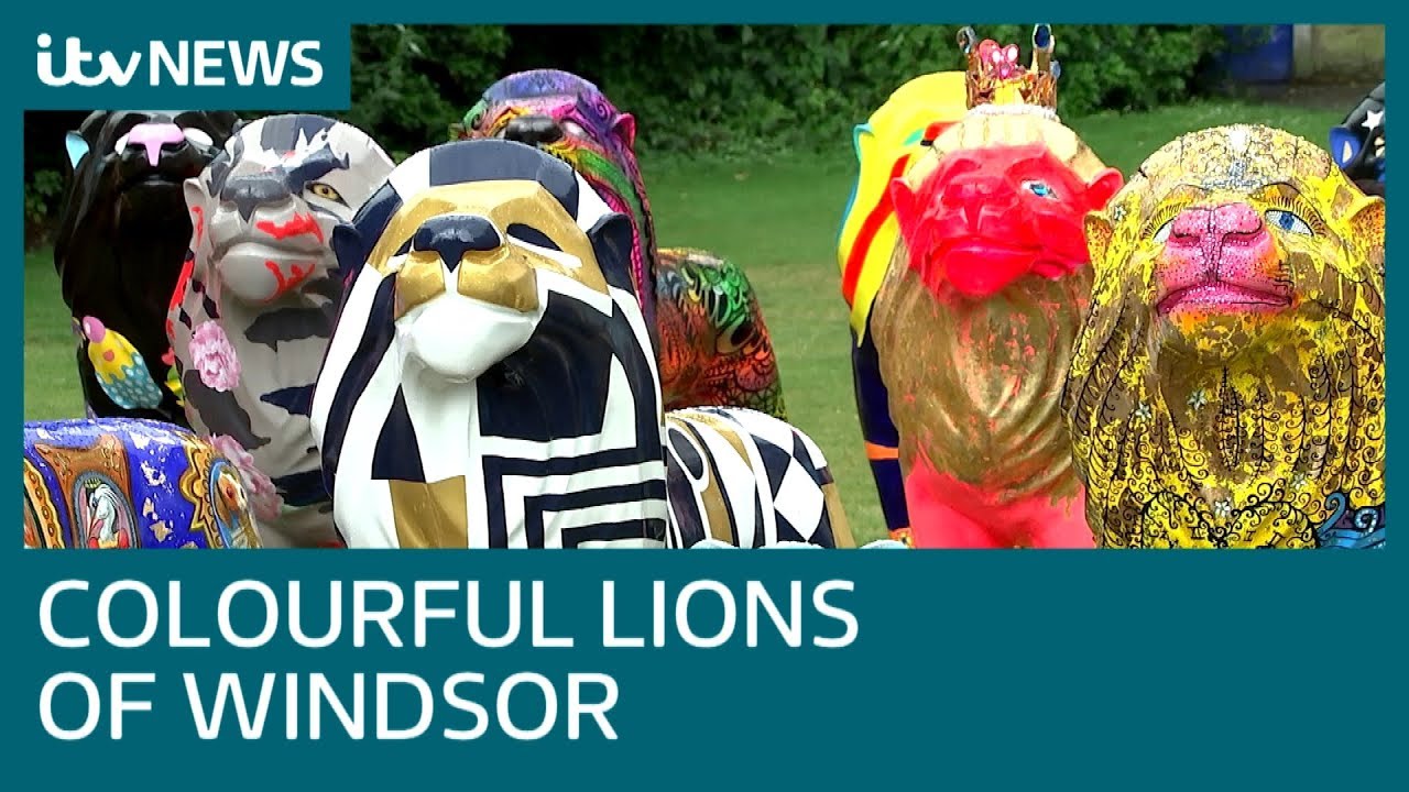 newspaper mockup Windsor's eye-catching collection of colourful lions | ITV News