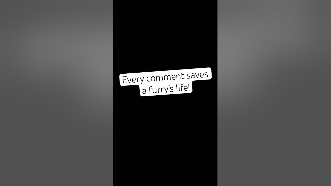 and-no-i-m-not-turning-off-the-comments-youtube