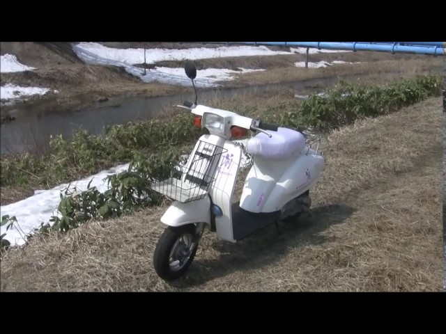 スズキ蘭「蘭咲きました！その1」各部チェック - YouTube