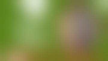 Smoke Sesh: The LOOP Operation The 7 Kaiju Balls