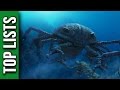 5 Strangest Prehistoric Creatures