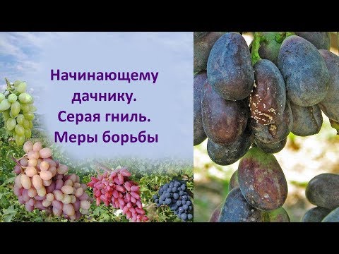 Video: Kokių Apsaugos Priemonių Reikia Vasaros Gyventojui?