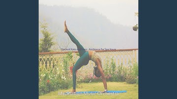 Marvellous Koto and Strings - Vibe for Relaxation Therapy