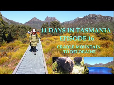 Lap of Tasmania / 14 days / Cradle Mountain / Deloraine / Lake Gairdner / Road trip / Australia