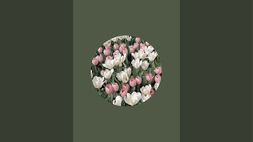 سر إتقان القرآن الكريم بالتجويد ||تعلم سورة القلم الآية48-52 صفحة 566 جزء تبارك للمبتدئين