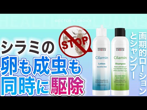 医師監修】アタマジラミ・毛じらみの卵を脱水させて殺す唯一の