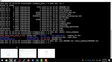BigData Hadoop HDFS Demo - Video 19