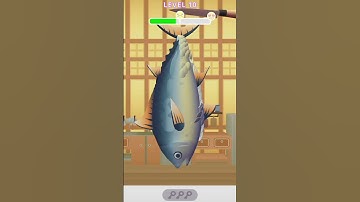 SUSHI ROLL 3D LEVEL 10