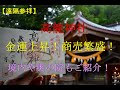 高龍神社の龍神さまと白蛇さまのご利益が凄い！奥の院へも行ってきた！【パワースポット】龍神様により金運アップ？
