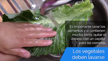 ¿Cuáles son los 4 consejos para evitar la contaminación cruzada?