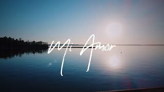 Mi Amor | Lyrics with English Translation Sharn